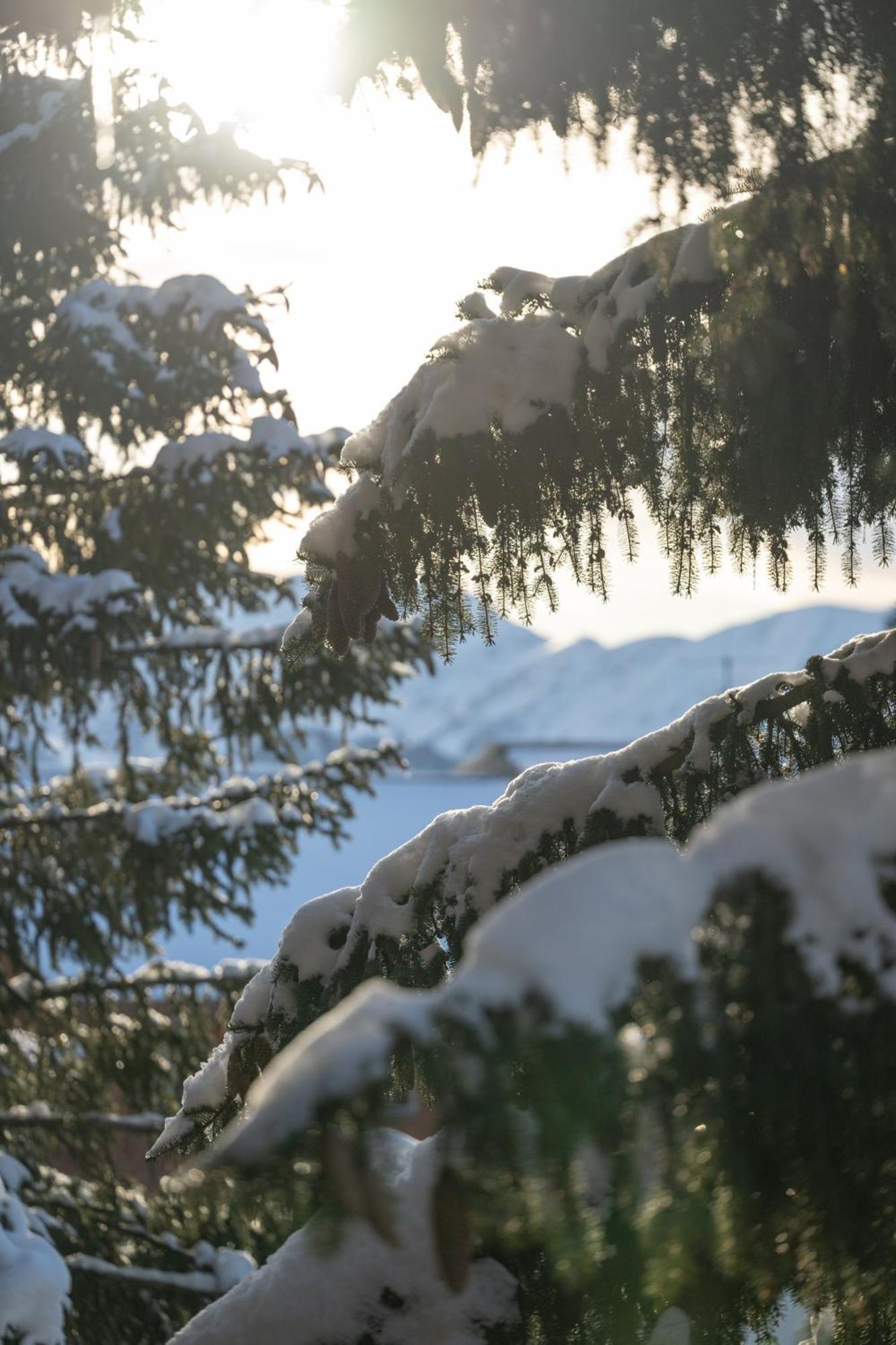 Chalet Alpe d'Huez -Sea&Mountain Pleasure Exterior foto